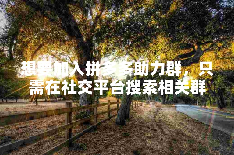 想要加入拼多多助力群，只需在社交平台搜索相关群组申请即可。