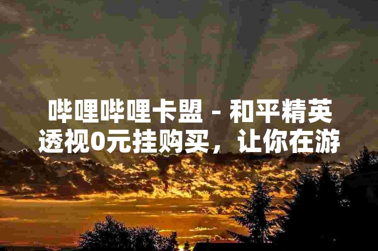 哔哩哔哩卡盟 - 和平精英透视0元挂购买，让你在游戏中轻松获得优势。