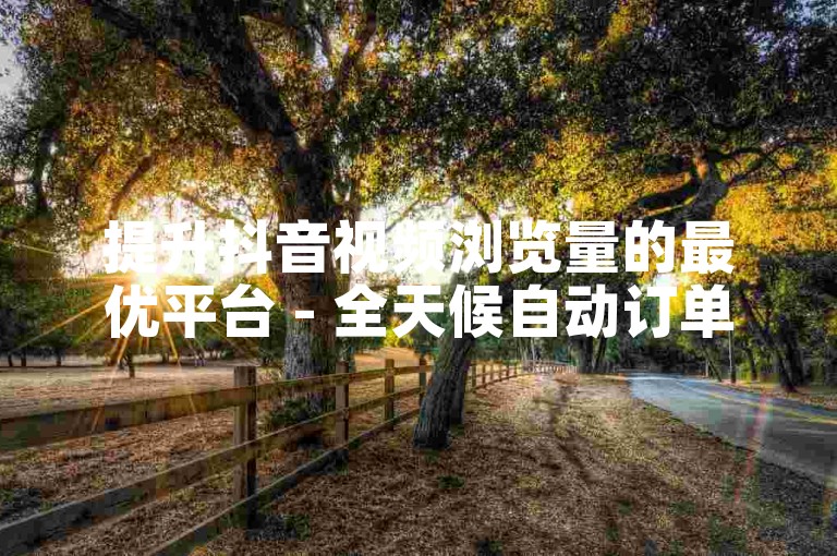 提升抖音视频浏览量的最优平台 - 全天候自动订单服务平台