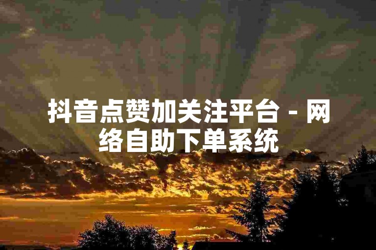 抖音点赞加关注平台 - 网络自助下单系统