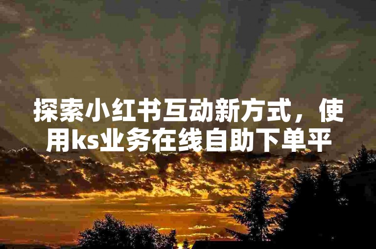 探索小红书互动新方式，使用ks业务在线自助下单平台轻松刷小眼睛。