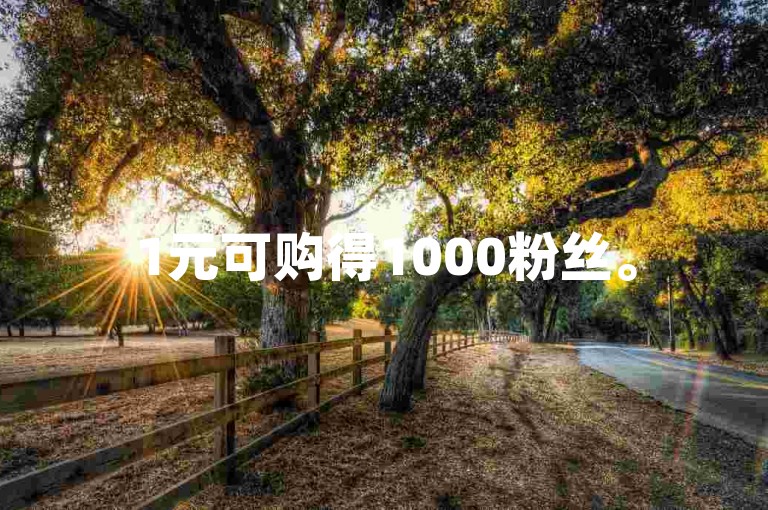 1元可购得1000粉丝。