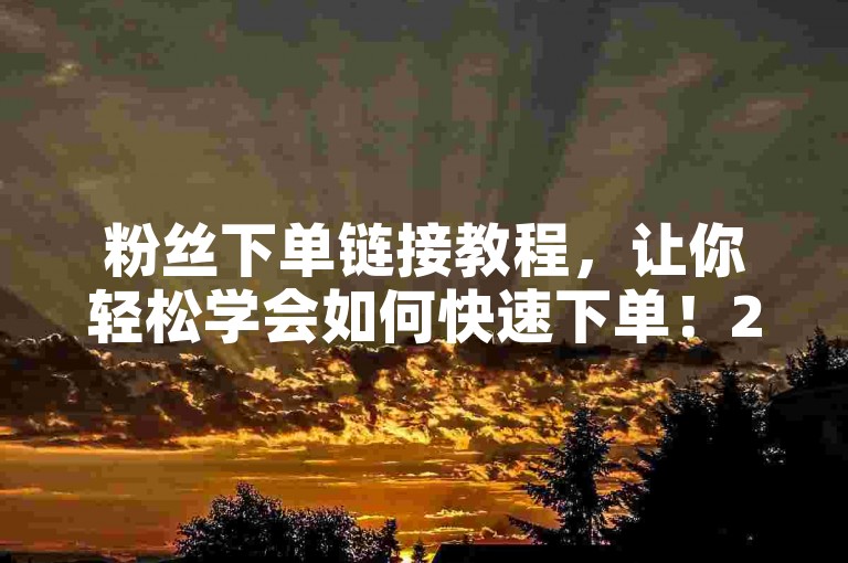 粉丝下单链接教程，让你轻松学会如何快速下单！2024年必备技能。