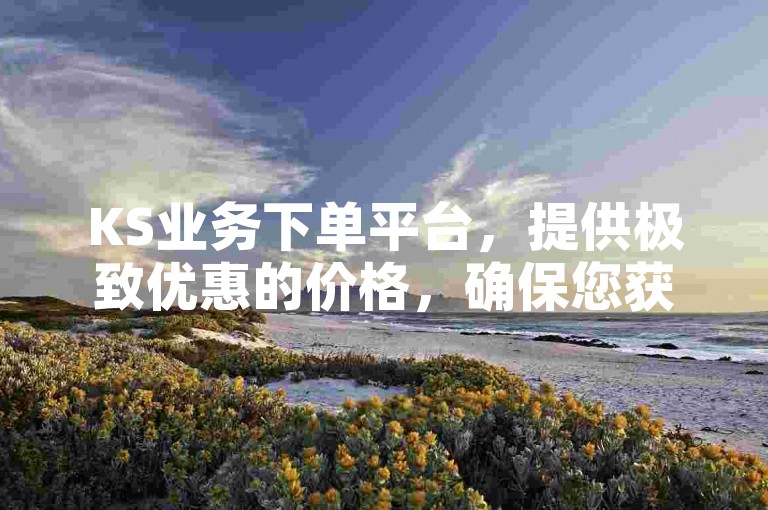 KS业务下单平台，提供极致优惠的价格，确保您获得最佳的购物体验。