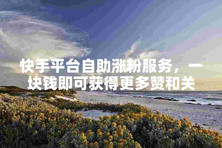 快手平台自助涨粉服务，一块钱即可获得更多赞和关注。