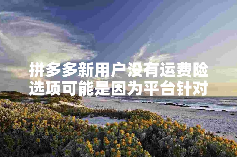 拼多多新用户没有运费险选项可能是因为平台针对新用户的优惠政策或活动设置中并未包含运费险服务。