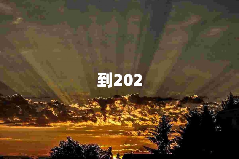 到2025年，拼多多店铺是否仍有发展潜力？pdd砍价网站