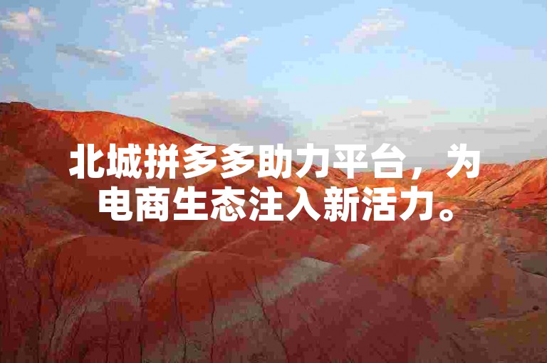 北城拼多多助力平台，为电商生态注入新活力。