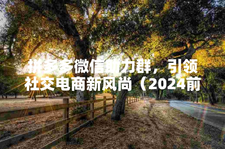 拼多多微信助力群，引领社交电商新风尚（2024前瞻）