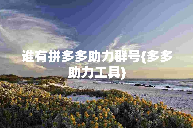 谁有拼多多助力群号{多多助力工具}