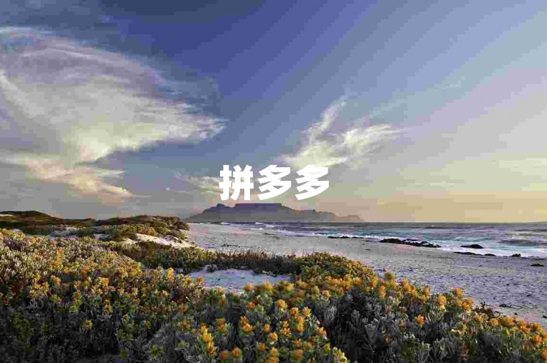 拼多多500人互助群，携手共创2024年免费互助的新篇章与无限可能。