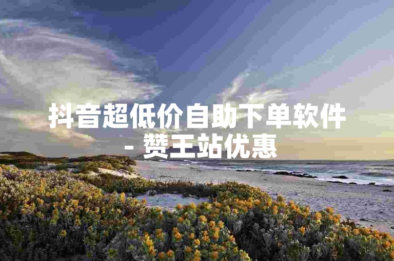 抖音超低价自助下单软件 - 赞王站优惠