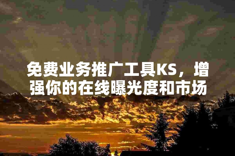免费业务推广工具KS，增强你的在线曝光度和市场认知度。