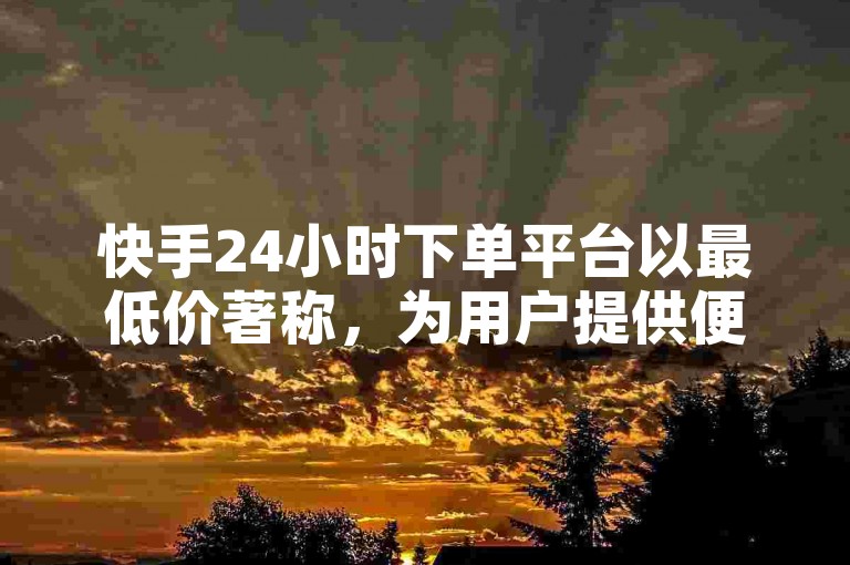 快手24小时下单平台以最低价著称，为用户提供便捷的购物体验。