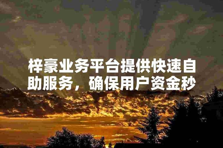 梓豪业务平台提供快速自助服务，确保用户资金秒速到账。