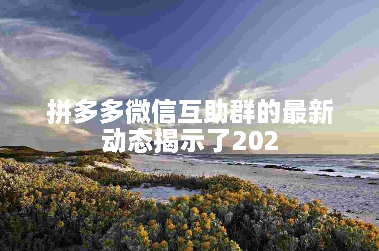 拼多多微信互助群的最新动态揭示了2025年探索未来趋势与机遇的蓝图。