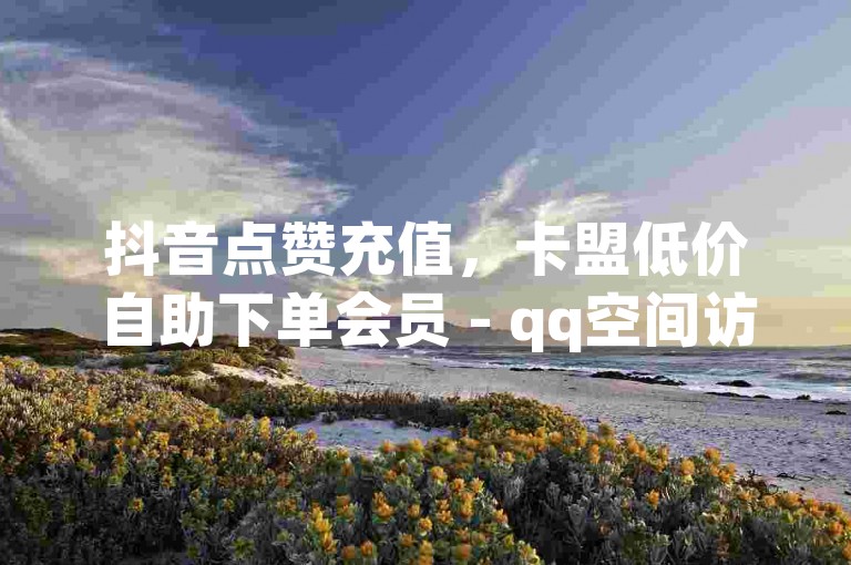 抖音点赞充值，卡盟低价自助下单会员 - qq空间访客量2024官方紧急辟谣！