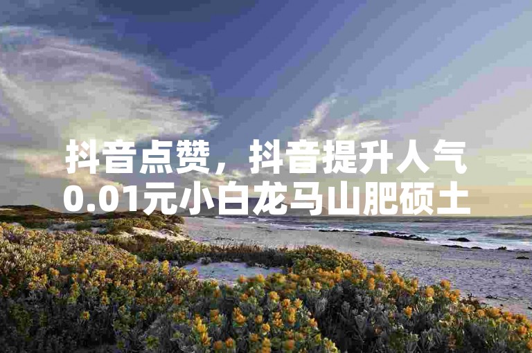 抖音点赞，抖音提升人气0.01元小白龙马山肥硕土地房最新促销信息 - 粉丝ks - 亿卡卡盟