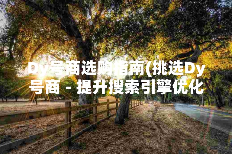 Dy号商选购指南(挑选Dy号商 - 提升搜索引擎优化)