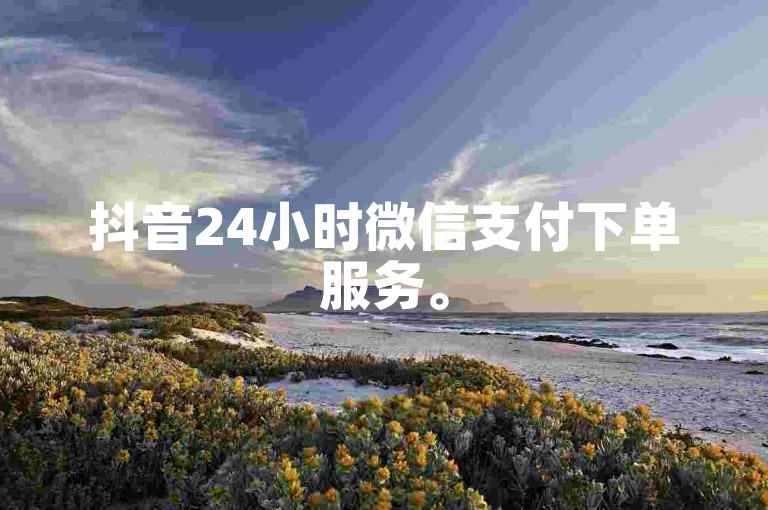 抖音24小时微信支付下单服务。