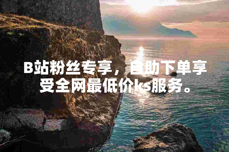 B站粉丝专享，自助下单享受全网最低价ks服务。