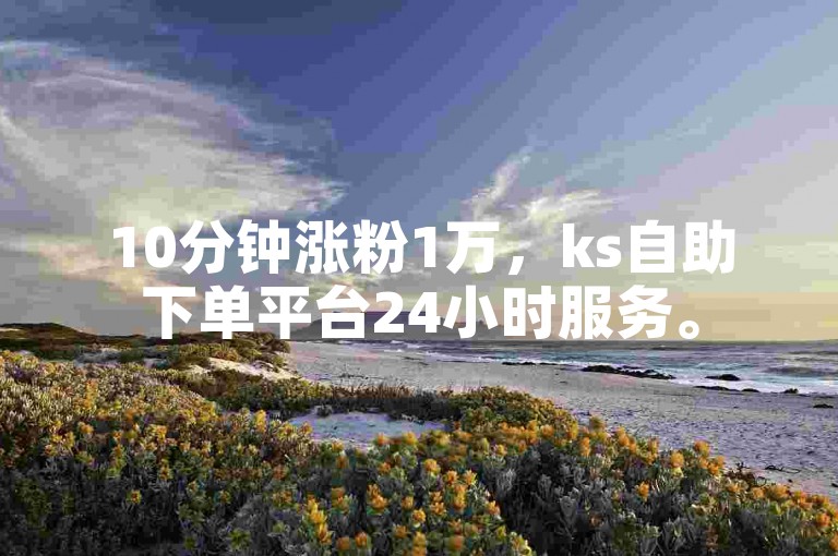 10分钟涨粉1万，ks自助下单平台24小时服务。