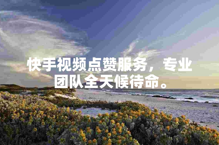 快手视频点赞服务，专业团队全天候待命。
