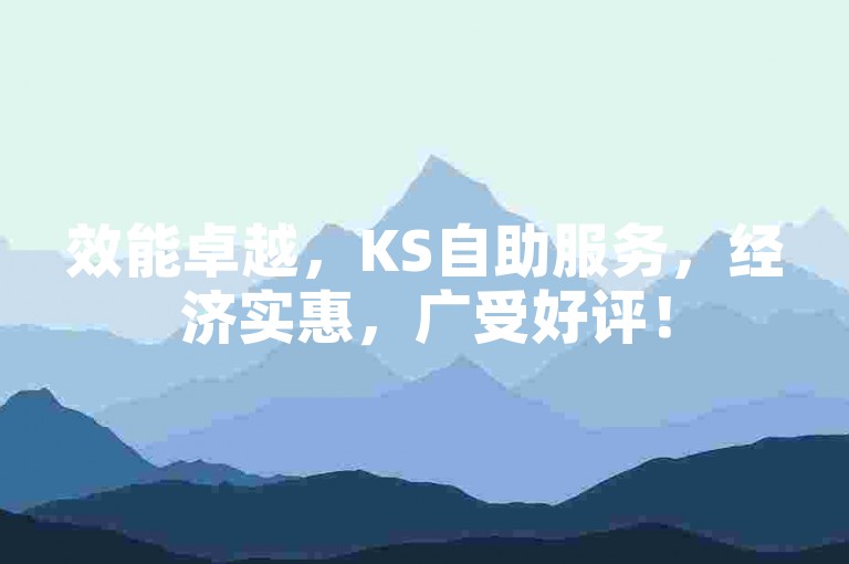 效能卓越，KS自助服务，经济实惠，广受好评！