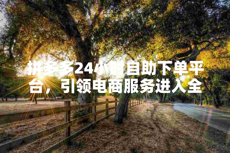 拼多多24小时自助下单平台，引领电商服务进入全新阶段。