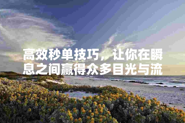高效秒单技巧，让你在瞬息之间赢得众多目光与流量的秘籍解析。