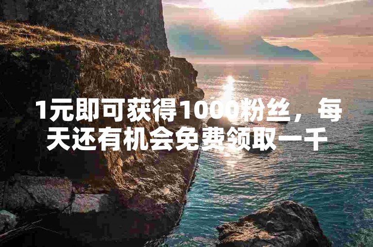 1元即可获得1000粉丝，每天还有机会免费领取一千个赞的网站。