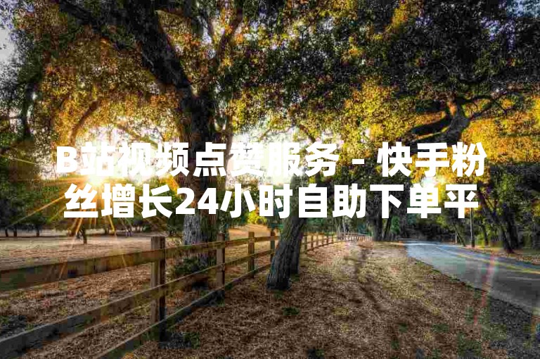 B站视频点赞服务 - 快手粉丝增长24小时自助下单平台