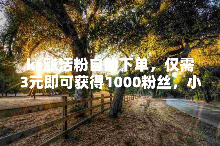 ks涨活粉自助下单，仅需3元即可获得1000粉丝，小红书平台推荐。