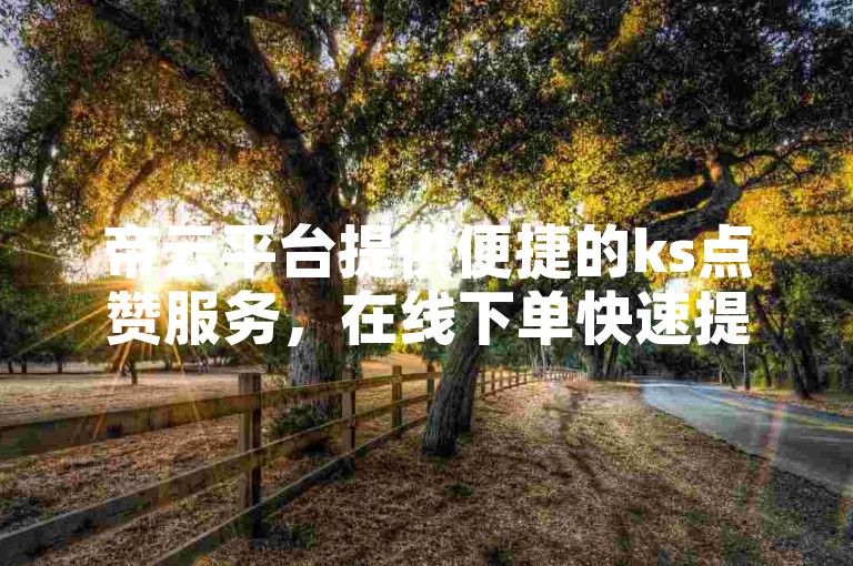 帝云平台提供便捷的ks点赞服务，在线下单快速提升人气。