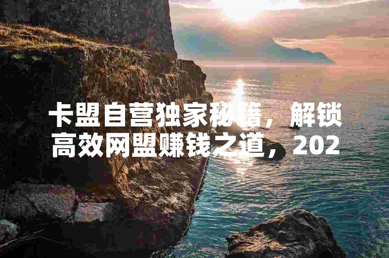 卡盟自营独家秘籍，解锁高效网盟赚钱之道，2024年必备技能！