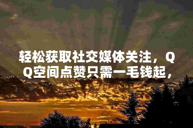 轻松获取社交媒体关注，QQ空间点赞只需一毛钱起，1799发卡网提供专业服务。