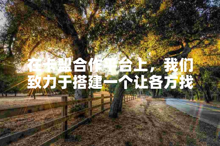 在卡盟合作平台上，我们致力于搭建一个让各方找到最佳合作伙伴的桥梁。
