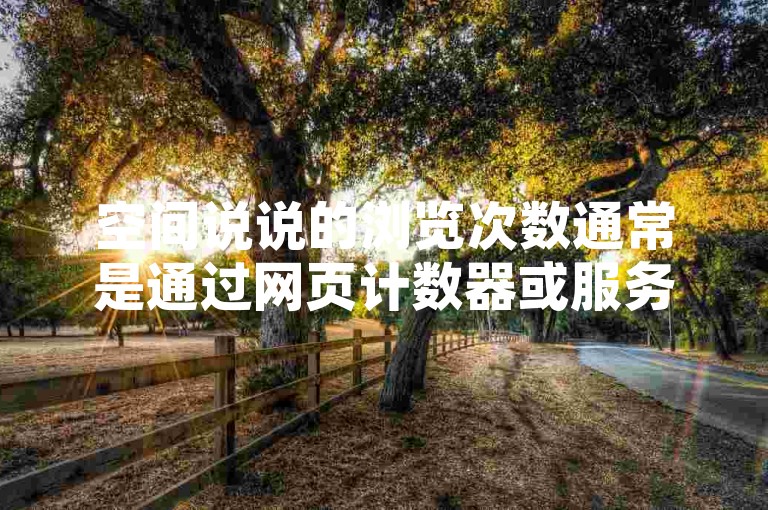 空间说说的浏览次数通常是通过网页计数器或服务器日志来统计的，这些工具能够记录每次页面被访问的情况。