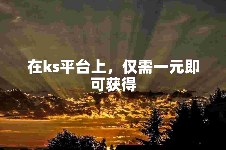 在ks平台上，仅需一元即可获得500个赞，通过ks业务秒刷网，实现低价快速增加点赞数。