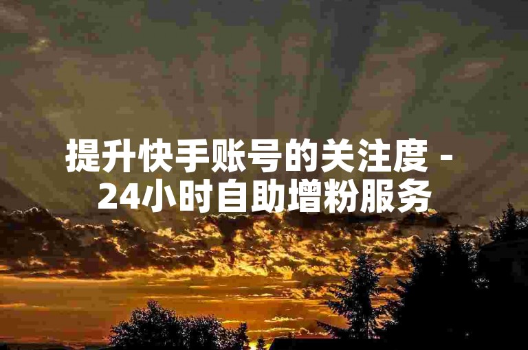 提升快手账号的关注度 - 24小时自助增粉服务