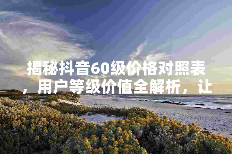 揭秘抖音60级价格对照表,用户等级价值全解析,让你轻松掌握等级与价格的秘密!!2025必备知识