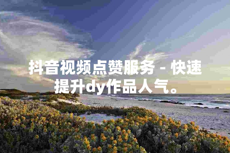 抖音视频点赞服务 - 快速提升dy作品人气。