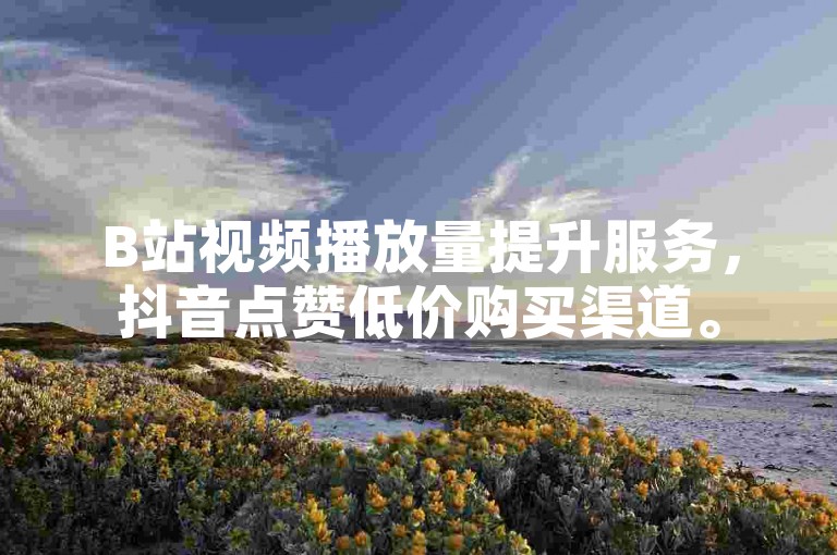 B站视频播放量提升服务，抖音点赞低价购买渠道。
