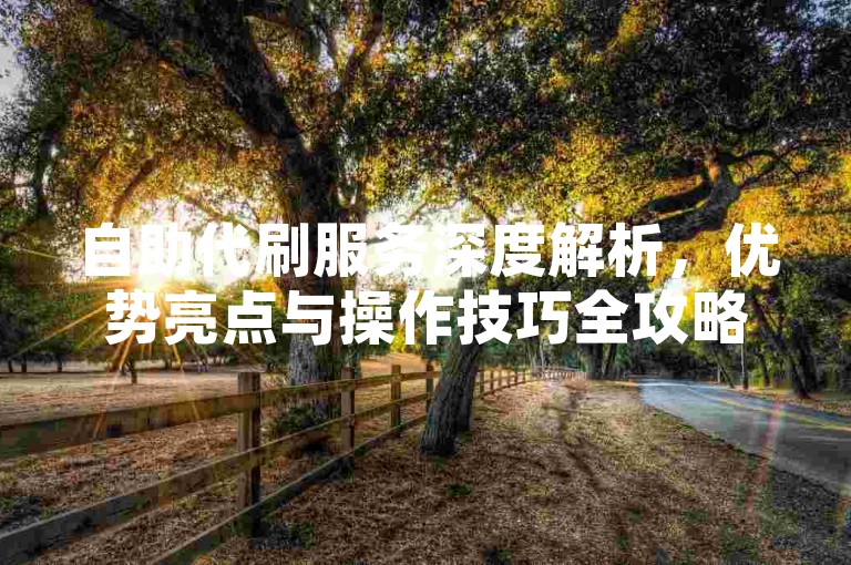 自助代刷服务深度解析，优势亮点与操作技巧全攻略，2025年必备知识！