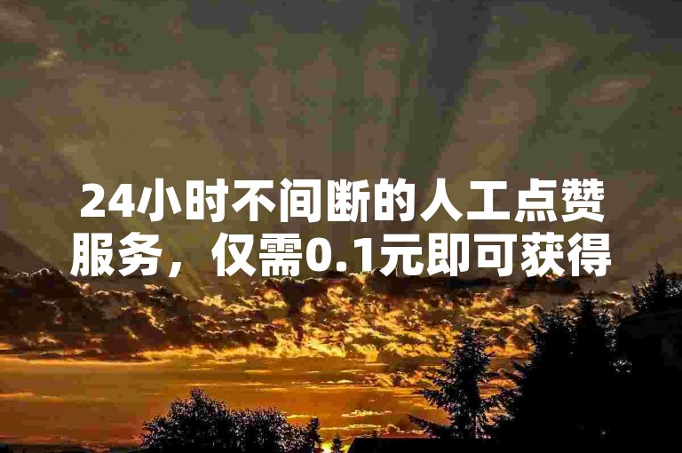 24小时不间断的人工点赞服务，仅需0.1元即可获得一万赞的平台。