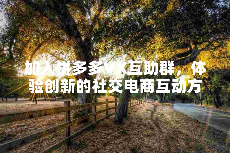 加入拼多多VX互助群，体验创新的社交电商互动方式。