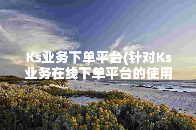 Ks业务下单平台(针对Ks业务在线下单平台的使用反馈)