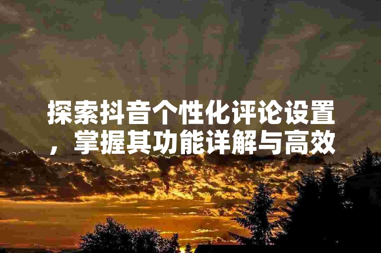 探索抖音个性化评论设置，掌握其功能详解与高效运用方法。