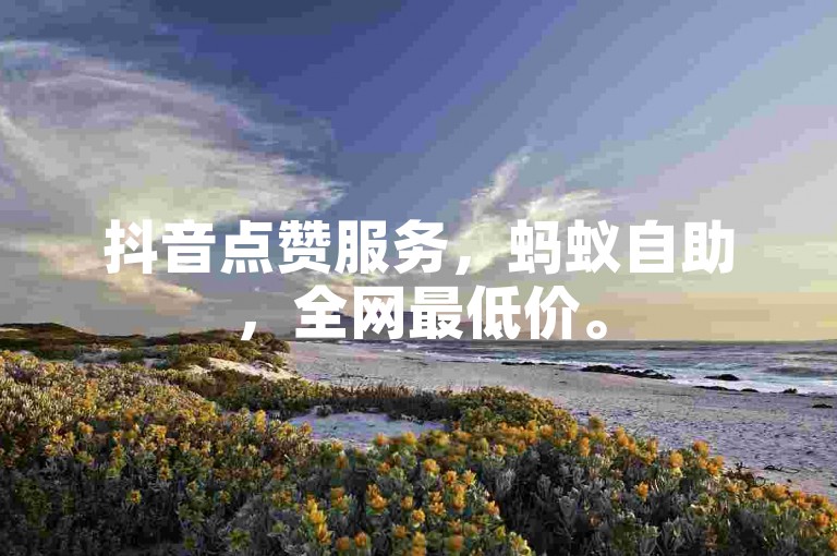 抖音点赞服务，蚂蚁自助，全网最低价。