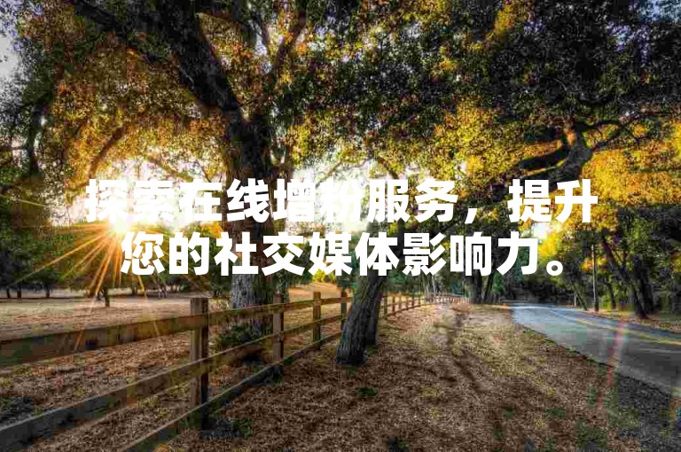探索在线增粉服务，提升您的社交媒体影响力。